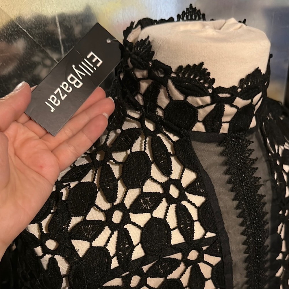 Brand NEW Elegant Black Lace Long Sleeve Dress - Picture 2 of 9